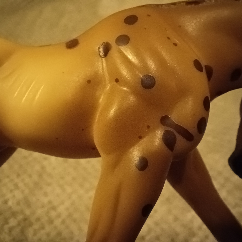 Breyer Dakotah - Picture 8 of 15